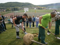 Baumpflanzung auf dem Sportplatz 2015