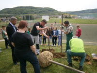 Baumpflanzung auf dem Sportplatz 2015